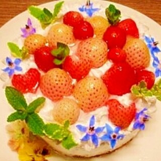 紅白イチゴ☆ケーキ